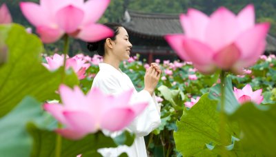 Woman in traditional attire meditating among pink lotus flowers