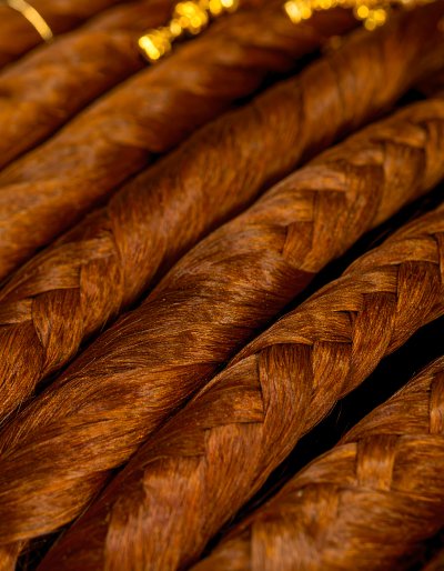 Rich chestnut brown hair braids with golden highlights