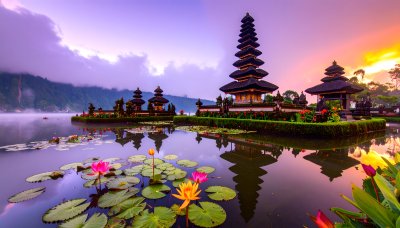 Tranquil water temple with lotus blossoms during sunrise