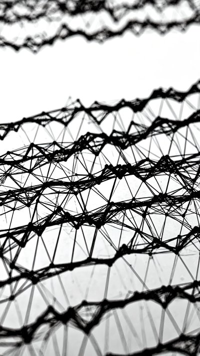 Abstract black and white network resembling data or neural connections