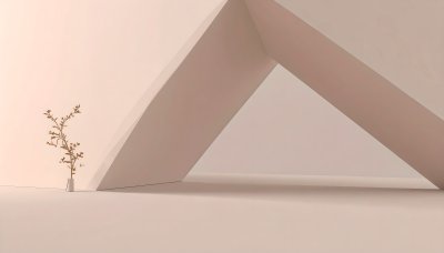 Zen space, dried branch, serenity