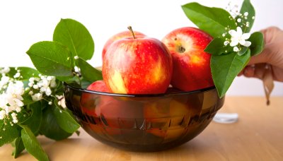 Red apples in bowl with delicate white flowers, autumn beauty
