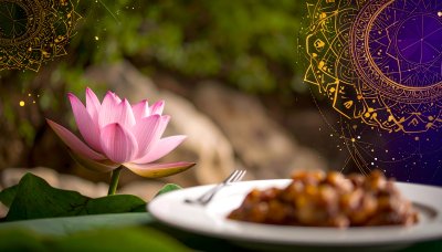 Lotus blossom, gourmet dish, and mandalas for tranquility and delight