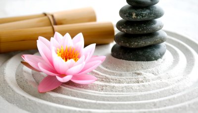 Zen garden with lotus, bamboo scrolls, balanced stones for mindfulness